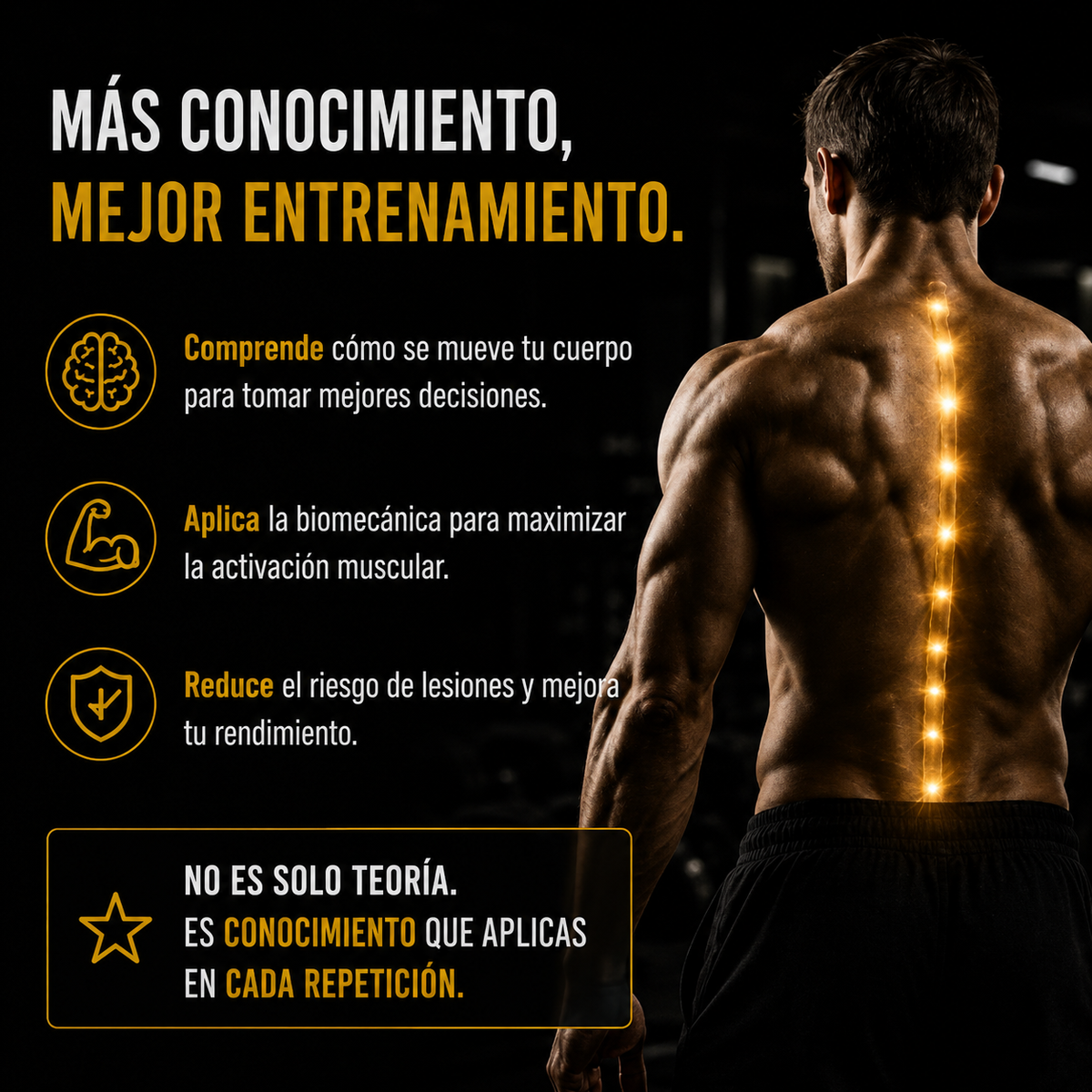 La Biblia del Fitness + Biomecánica
